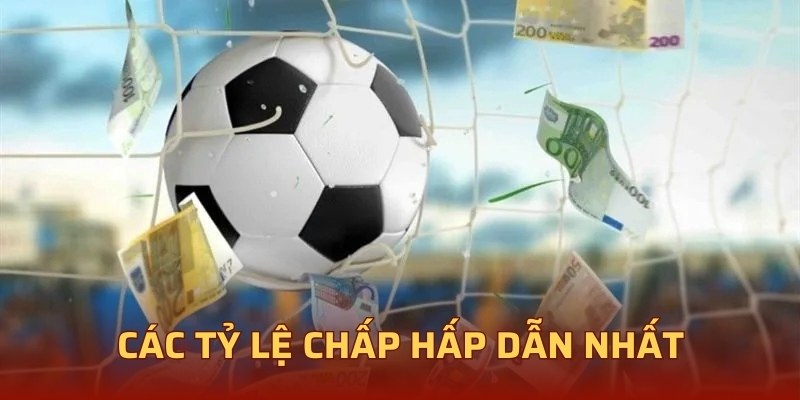 Các tỷ lệ chấp hấp dẫn nhất
